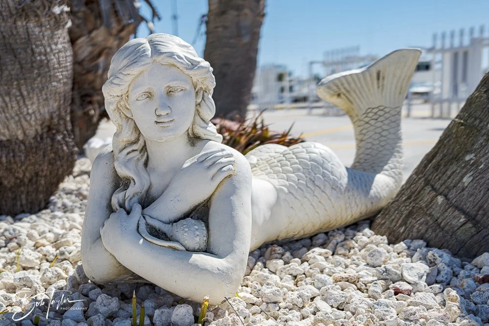 20250228-Walk Around -10.jpeg