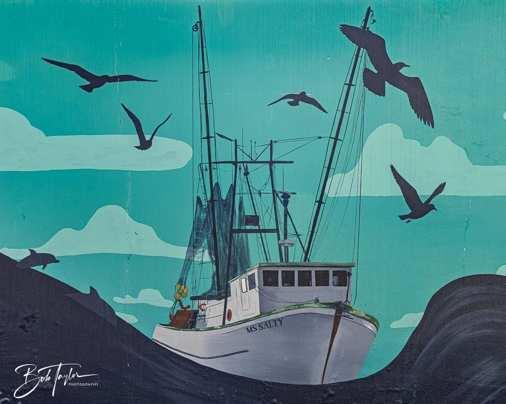 20250427-Houses -12.jpg