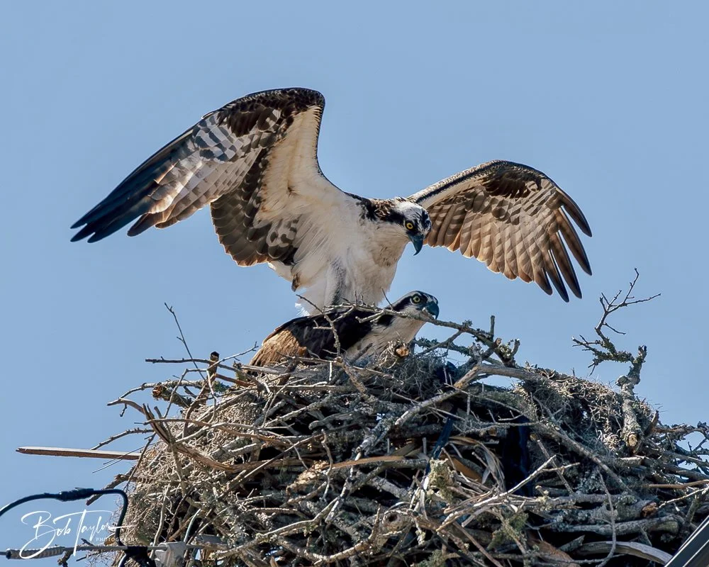 20250326-Walk Around -51.jpeg