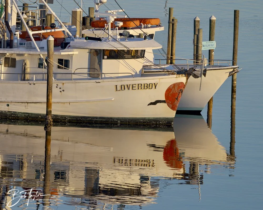 20250228-Misc VFAB -76.jpeg