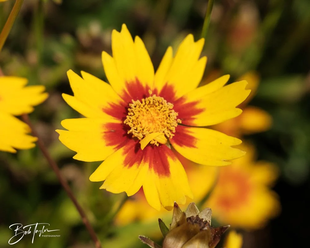 20250520-Last St A -7.jpg