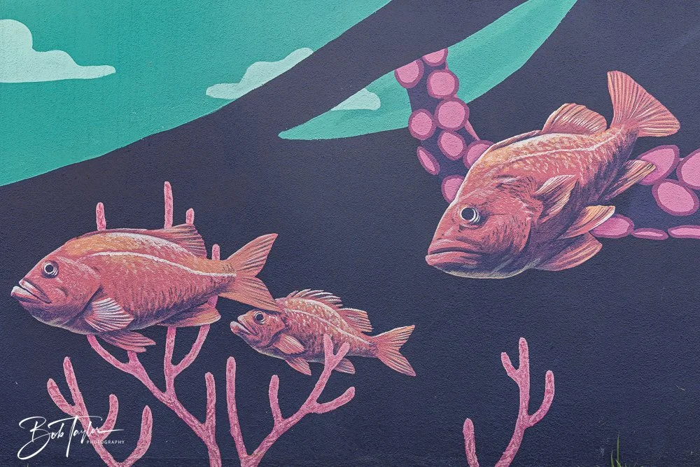 20250427-Houses -6.jpg