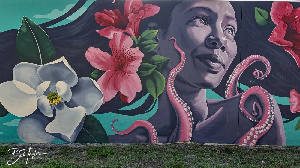 20250427-Houses -10.jpg