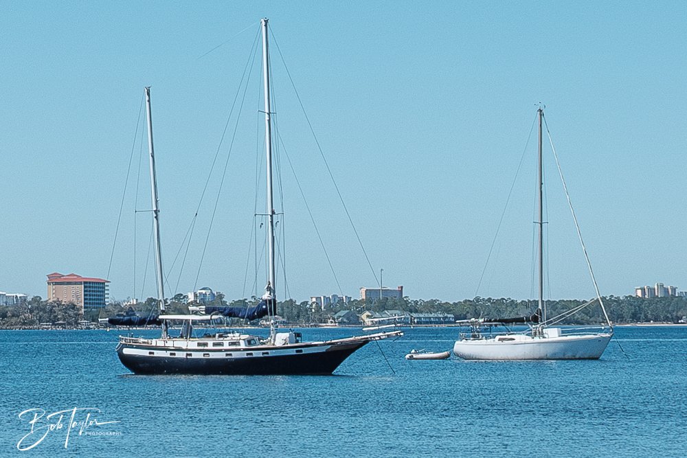 20250228-Photo Walk -9.jpg