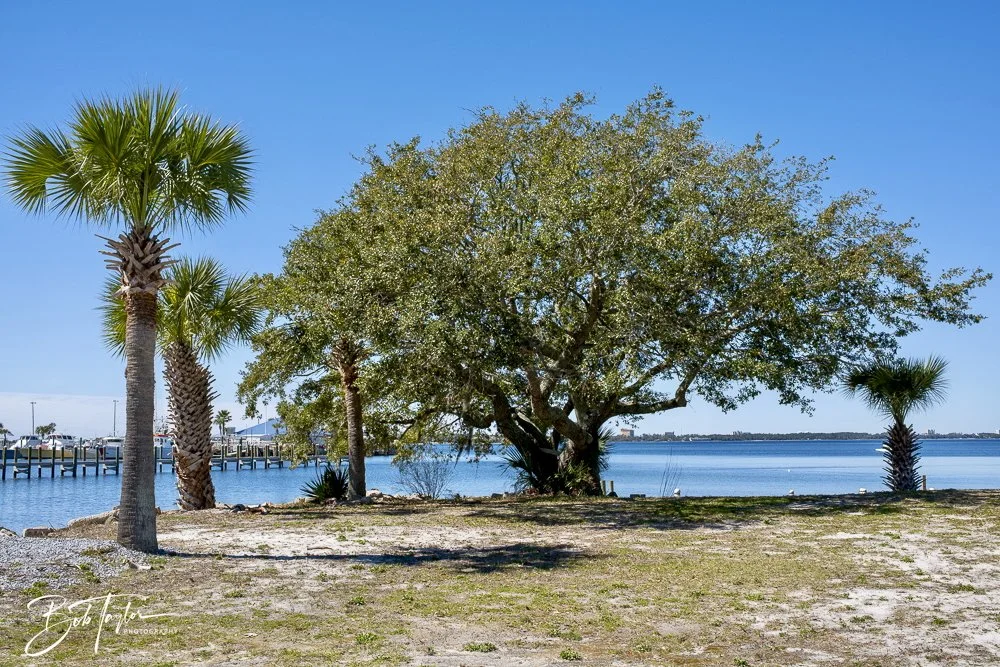 20250228-Walk Around -16.jpeg