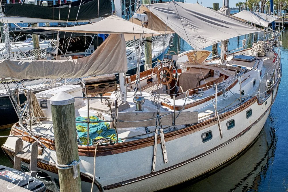 20250228-Walk Around -22.jpeg