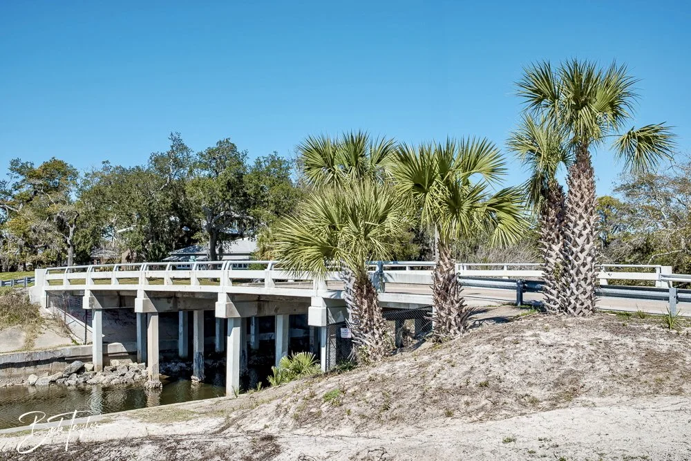 20250228-Walk Around -19.jpeg