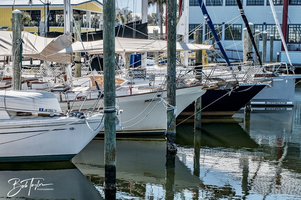 20250228-Walk Around -15.jpeg