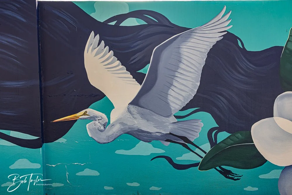 20250427-Houses -8.jpg