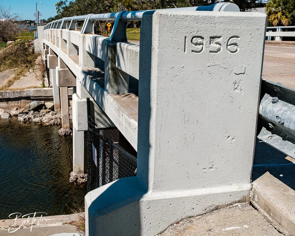 20250228-Photo Walk -10.jpg