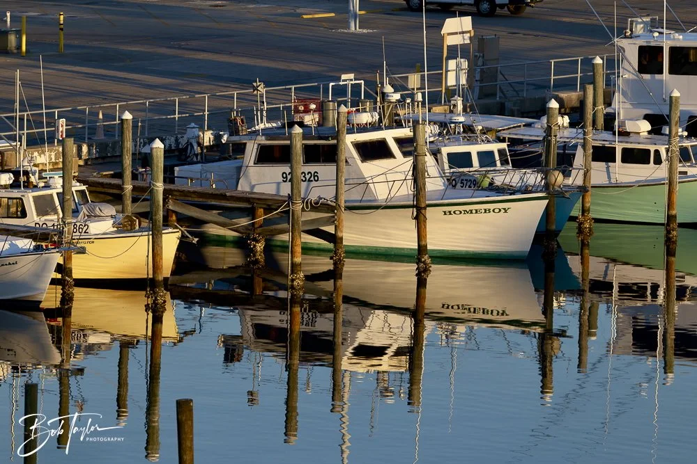 20250228-Misc VFAB -75.jpeg