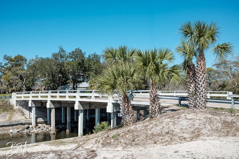 20250228-Photo Walk -11.jpg