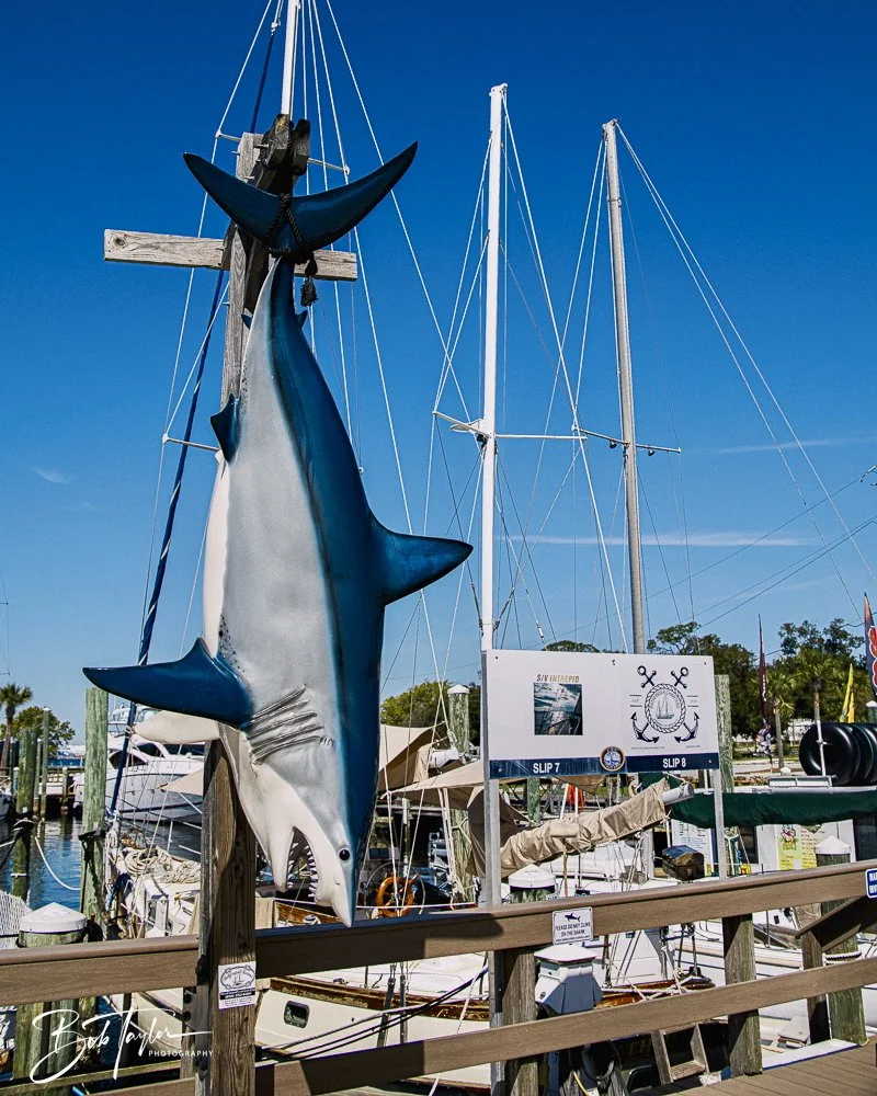 20250326-Walk Around -55.jpeg