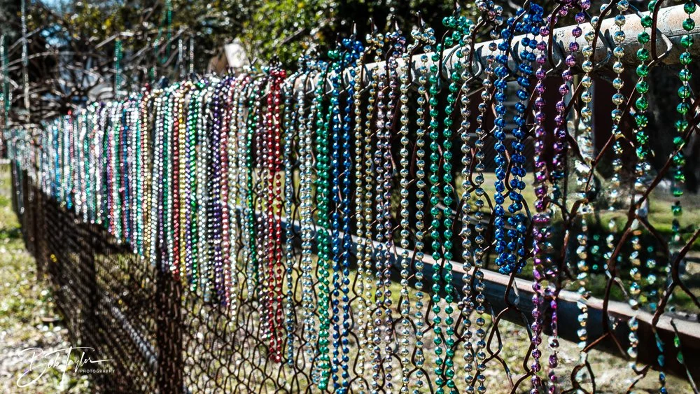 20250228-Photo Walk -13.jpg