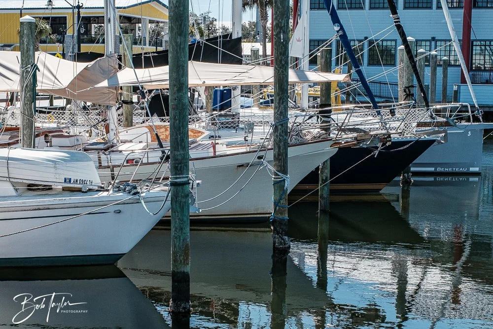 20250228-Photo Walk -6.jpg