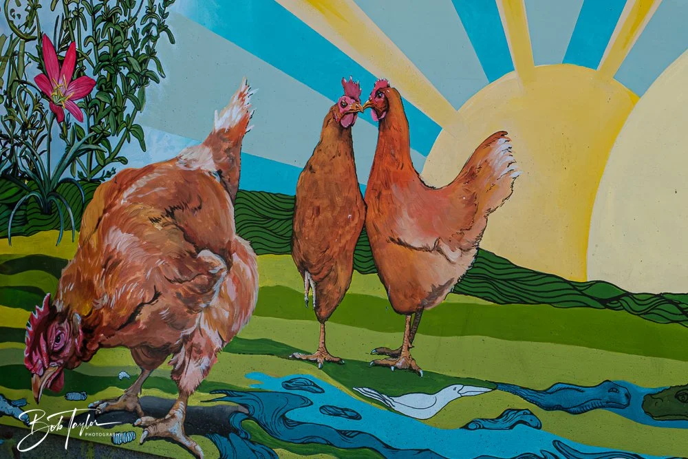 20250228-Photo Walk -17.jpg