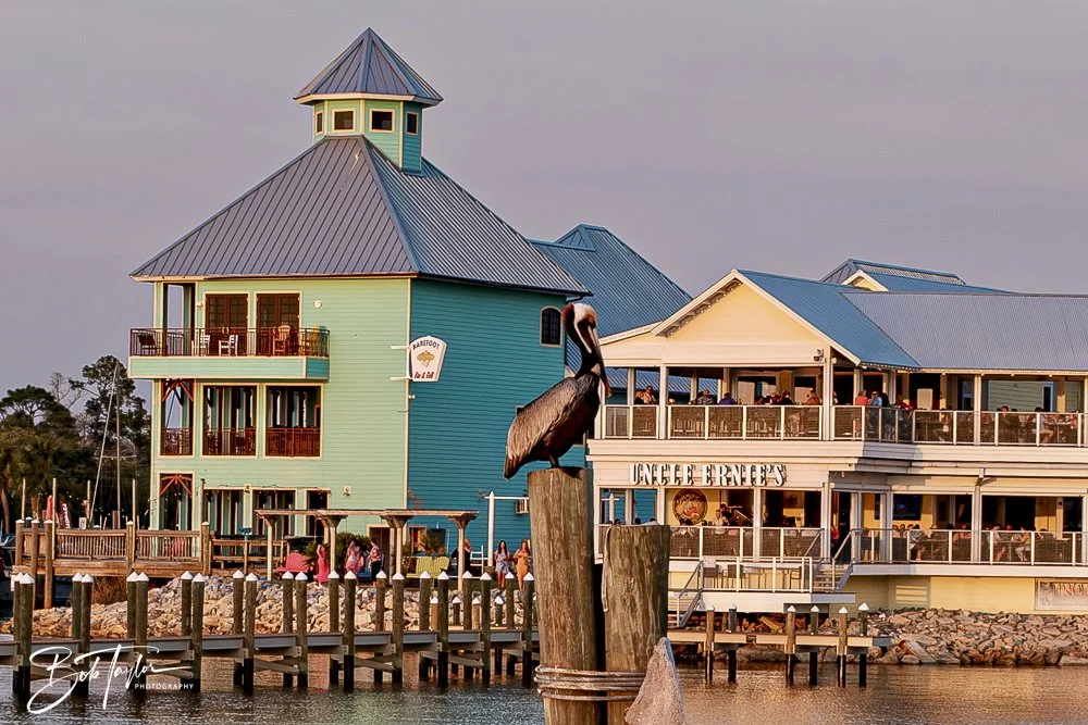 20250327-Walk Around -58.jpeg