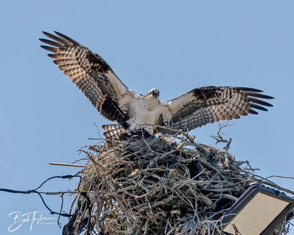 20250326-Walk Around -52.jpeg