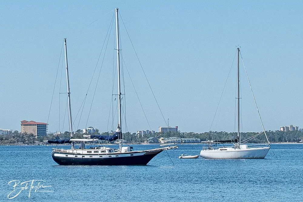 20250228-Walk Around -17.jpeg