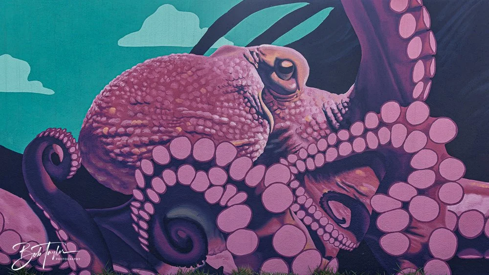 20250427-Houses -7.jpg