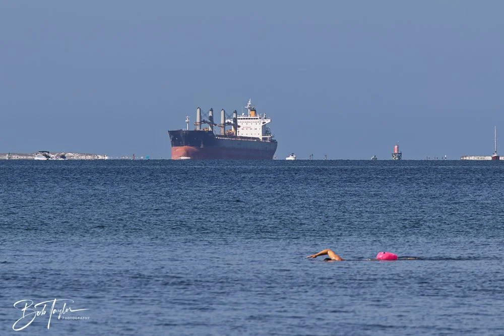 20250427-Houses -24.jpg