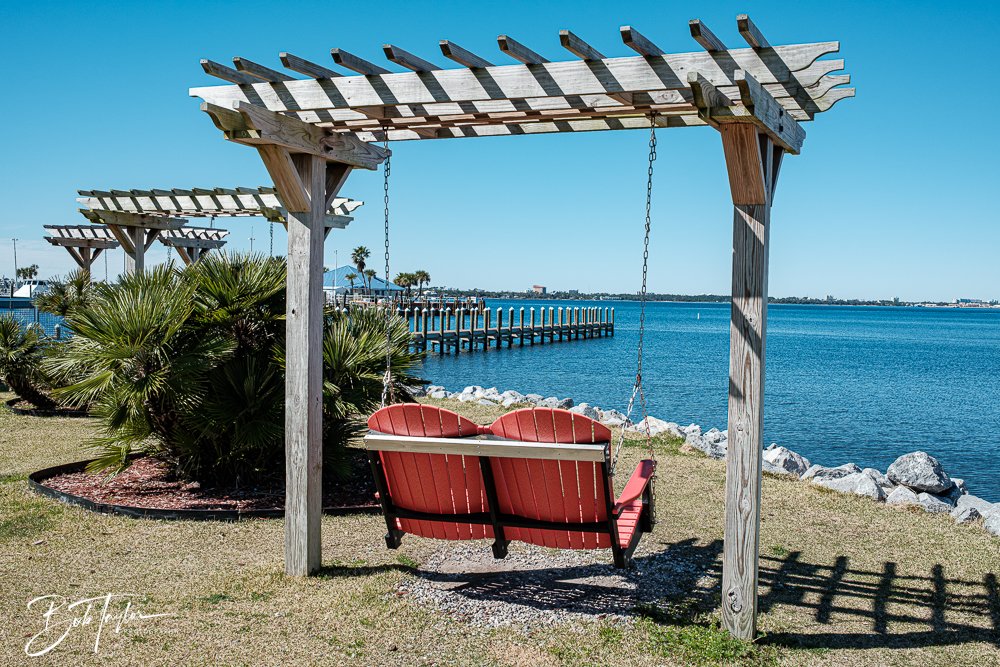 20250228-Photo Walk -4.jpg