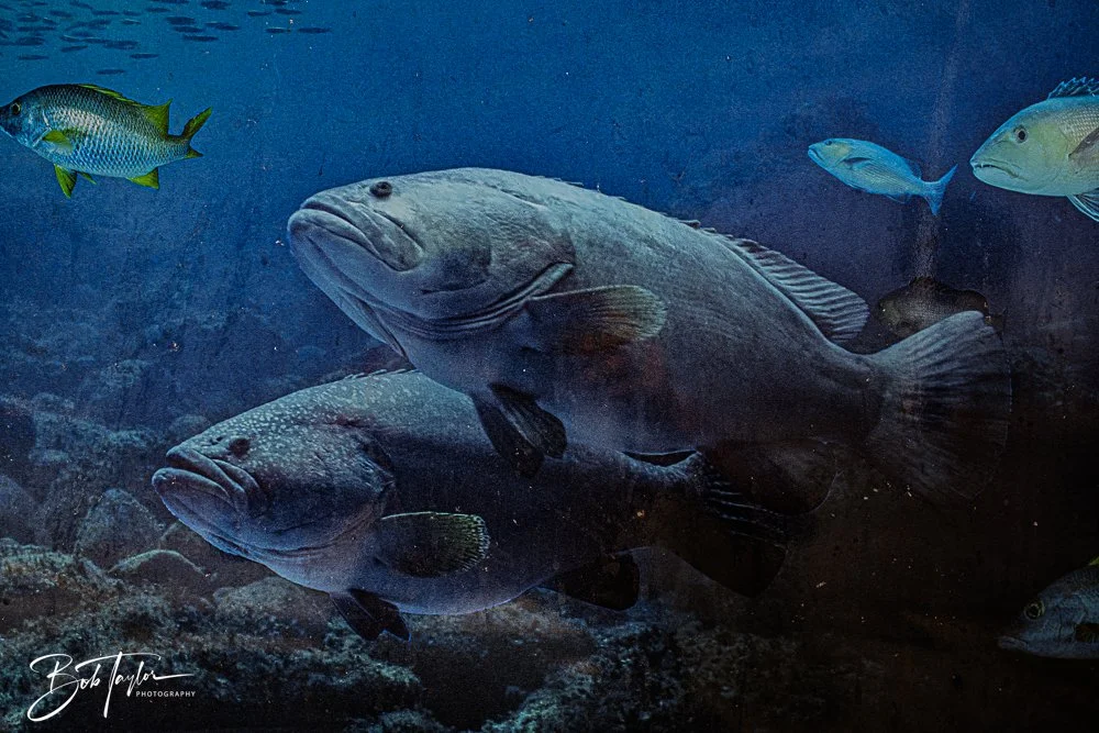 20250509-Last St A -3.jpg