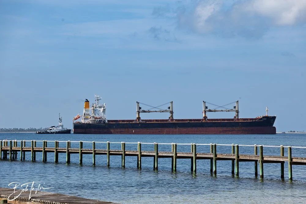 20250427-Houses -48.jpg