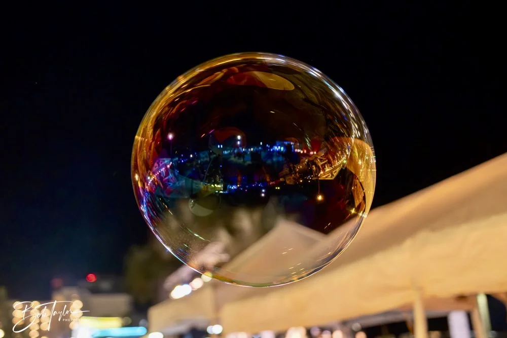 20250222-Walk Around -3.jpeg