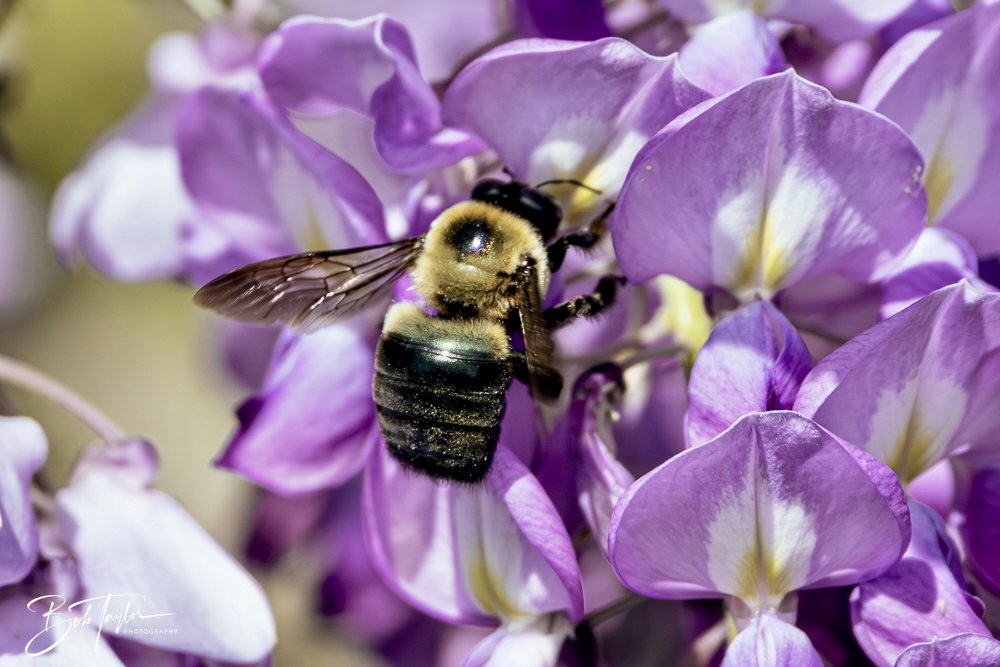 20250326-Walk Around -49.jpeg