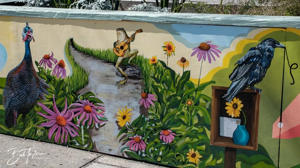 20250228-Photo Walk -16.jpg