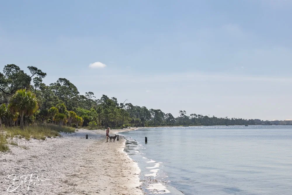 20250427-Houses -23.jpg