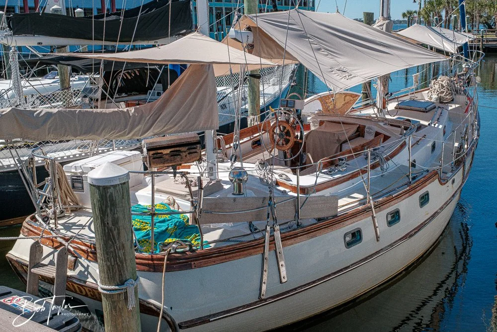 20250228-Photo Walk -15.jpg