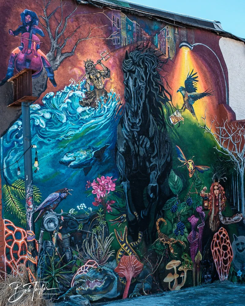 20250228-Photo Walk -20.jpg