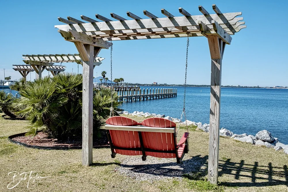 20250228-Walk Around -13.jpeg