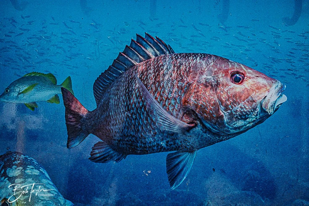 20250509-Last St A -4.jpg