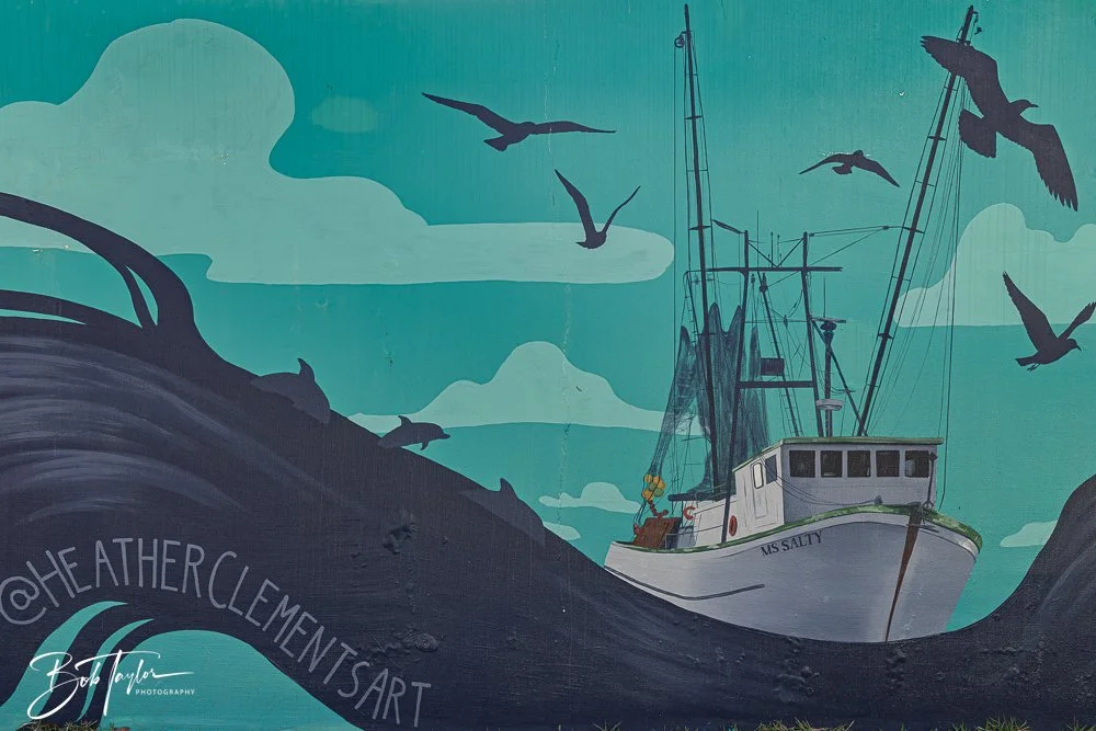 20250427-Houses -13.jpg