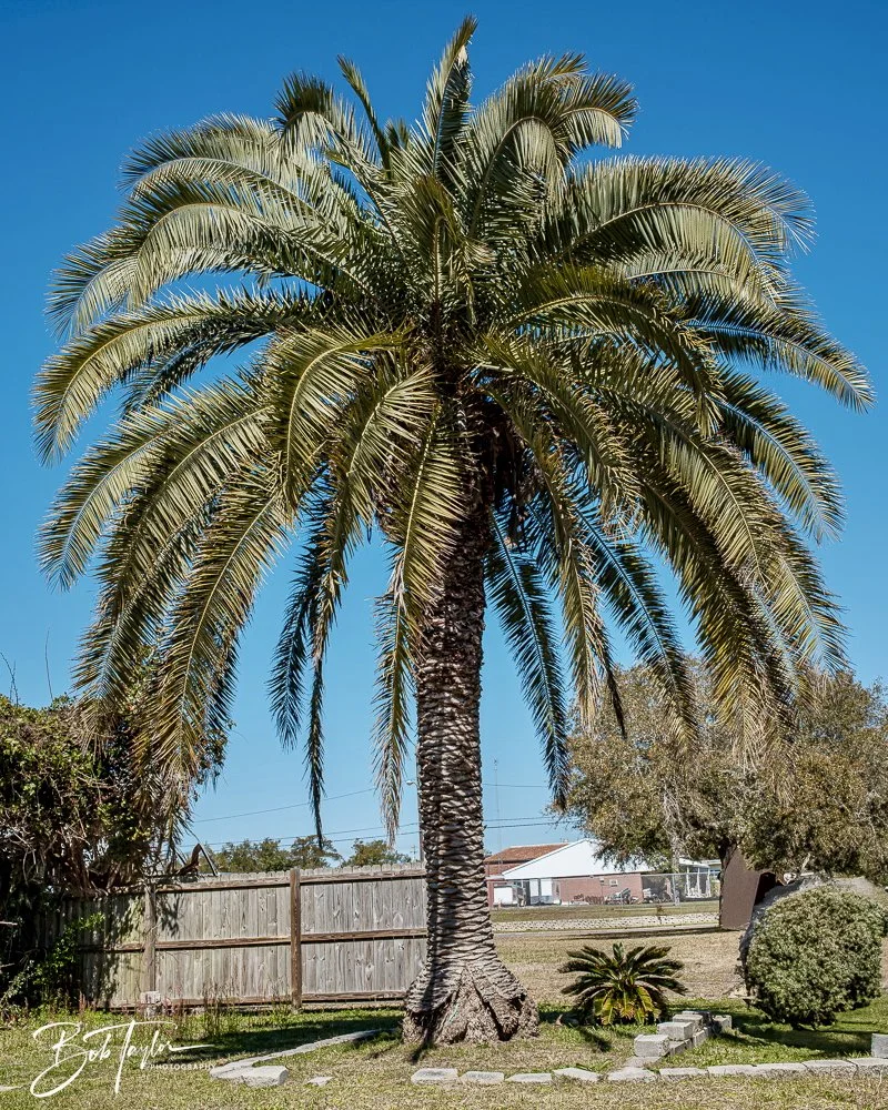 20250228-Walk Around -21.jpeg