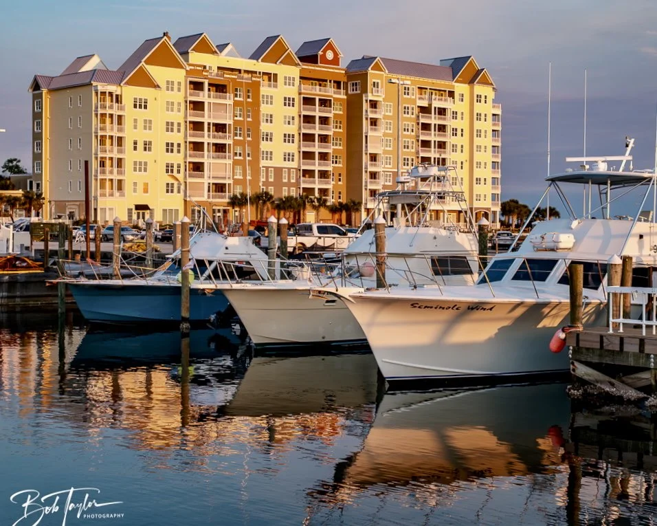 20250327-Walk Around -59.jpeg