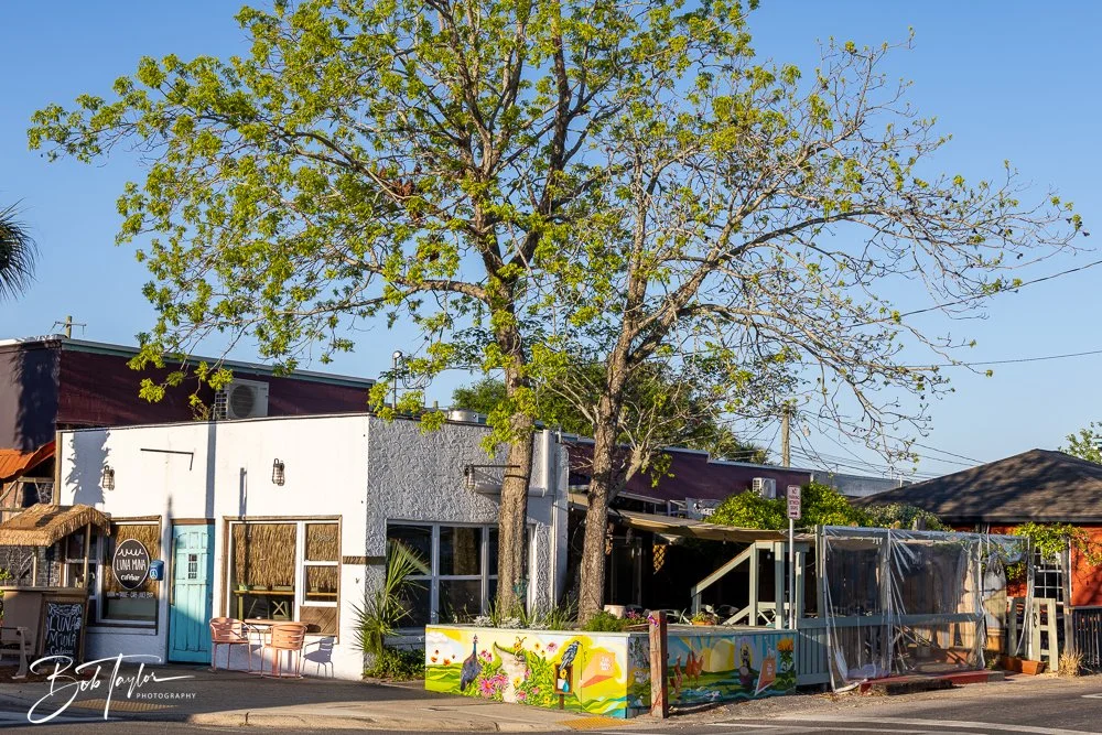 20250414-St Andrews Stops 2 -33.jpg