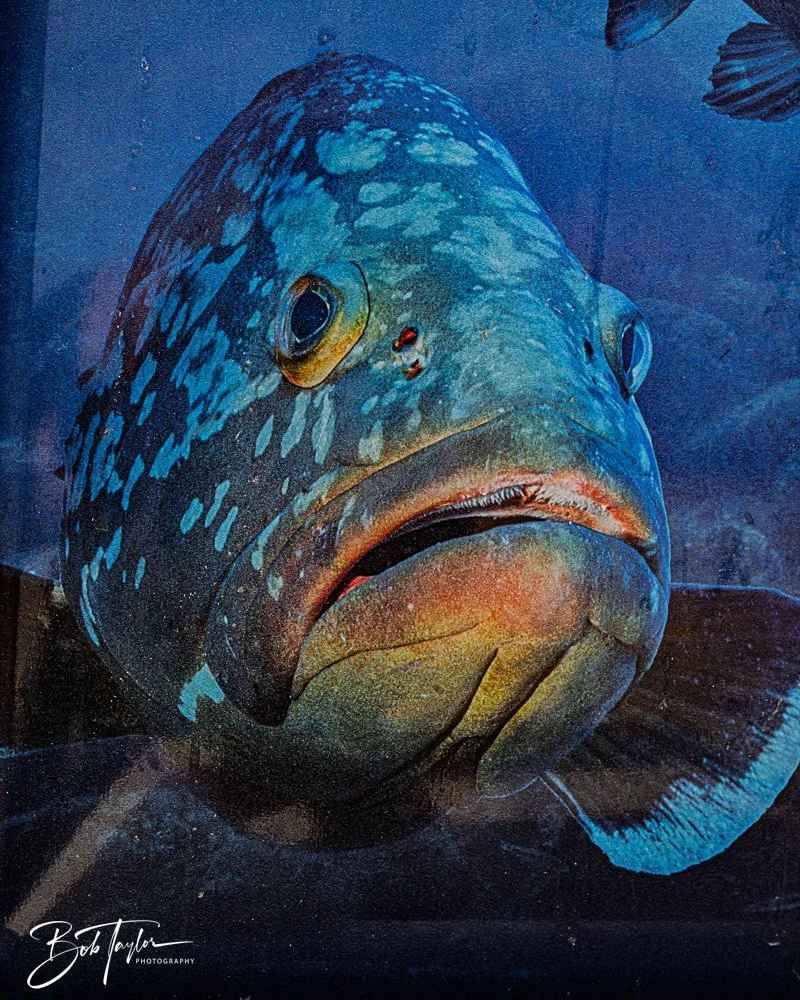 20250509-Last St A -5.jpg