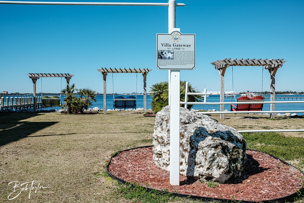 20250228-Photo Walk -3.jpg