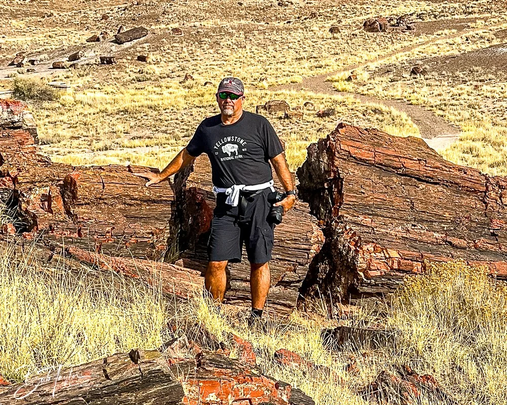 20241027-Petrified Forest -3.jpg