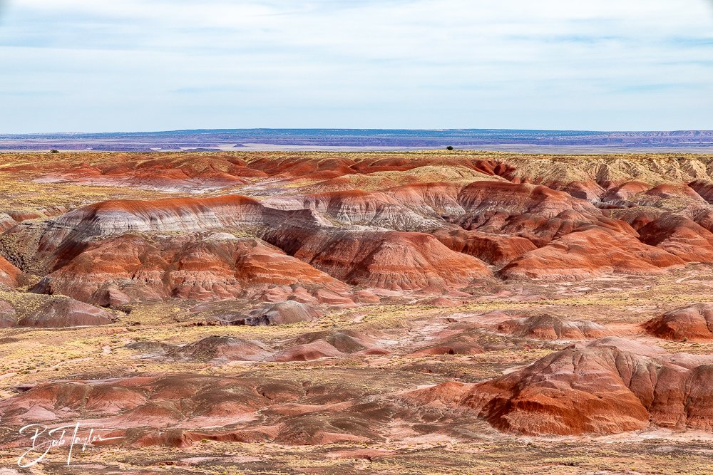 20241027-20241027-Painted Desert Inn -42-2.jpg