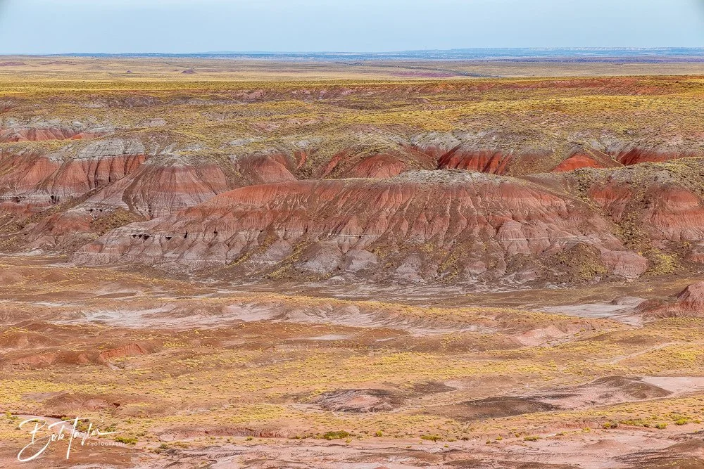 20241027-Painted Desert Inn -41.jpg