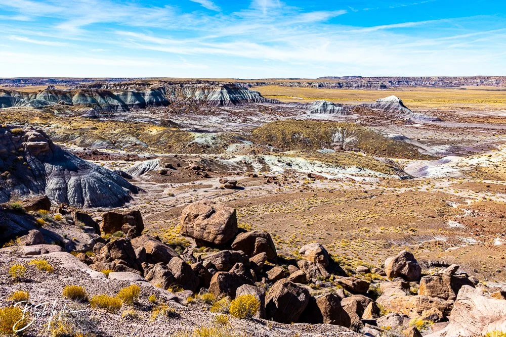 20241026-20241026-Blue Mesa -12-2.jpg