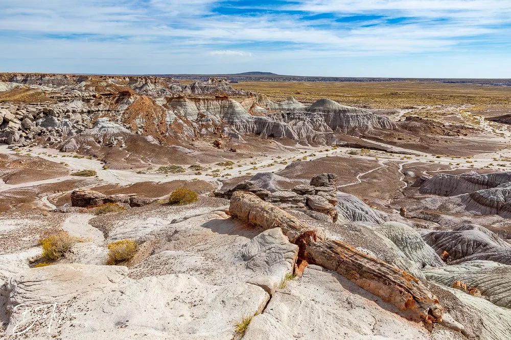 20241027-Blue Mesa -17.jpg