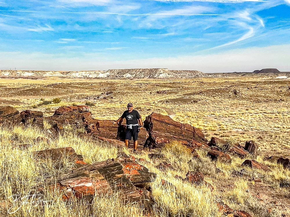 20241027-Petrified Forest -2.jpg
