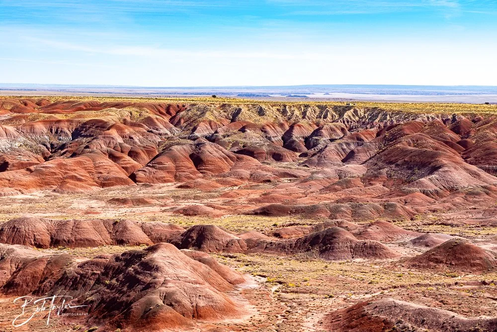 20241026-Blue Mesa -7.jpg