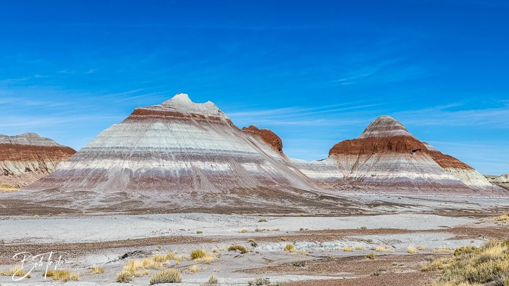 20241026-Blue Mesa -8.jpg